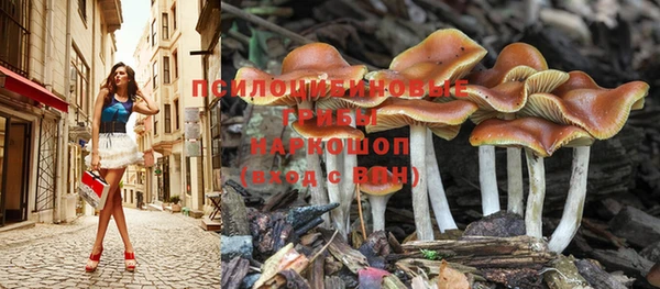 соль курить ск Горнозаводск