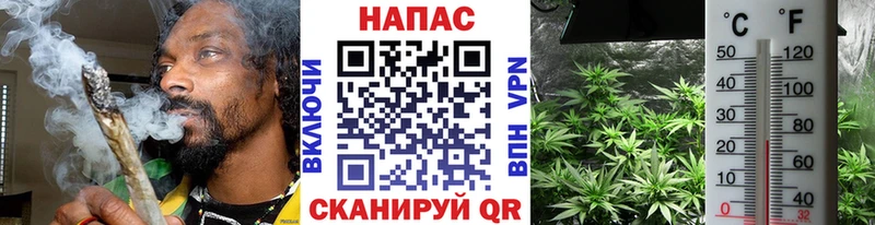 Купить где Конаково МАРИХУАНА план